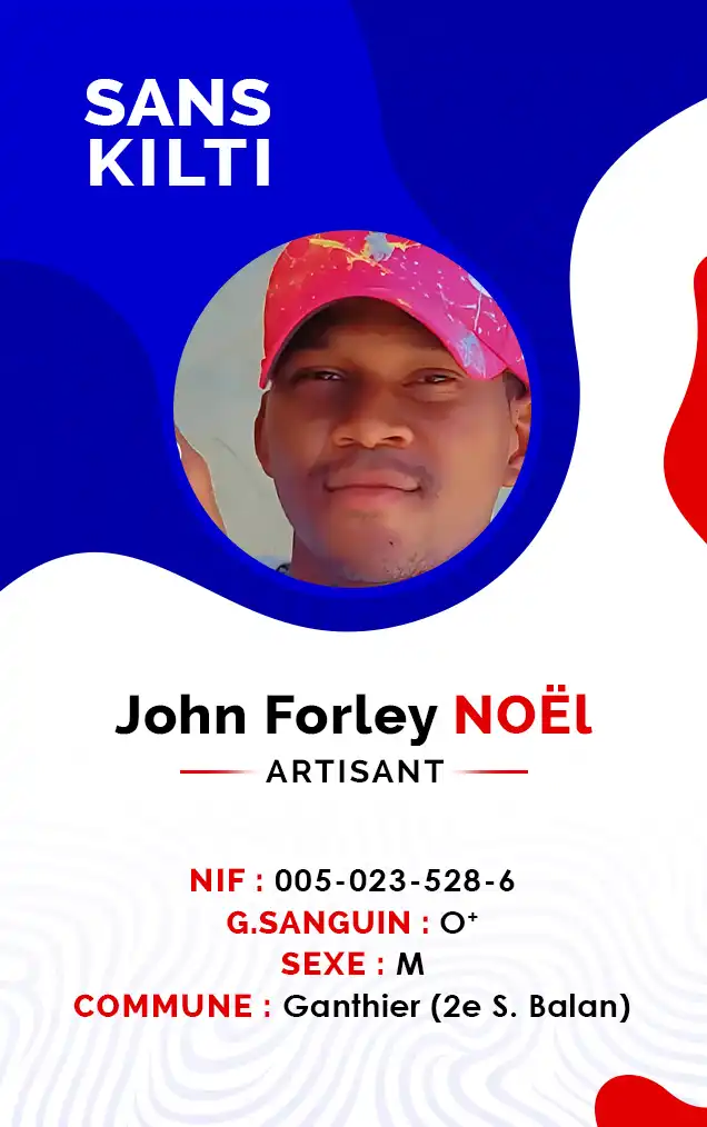 Modele 1 image